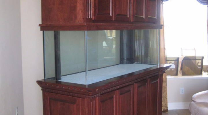 Custom aquarium